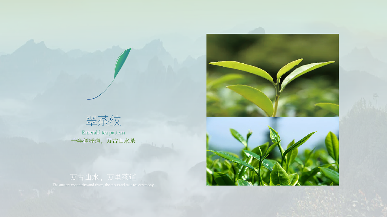 武夷山国家公园1号风景道LOGO设计&宣传语设计