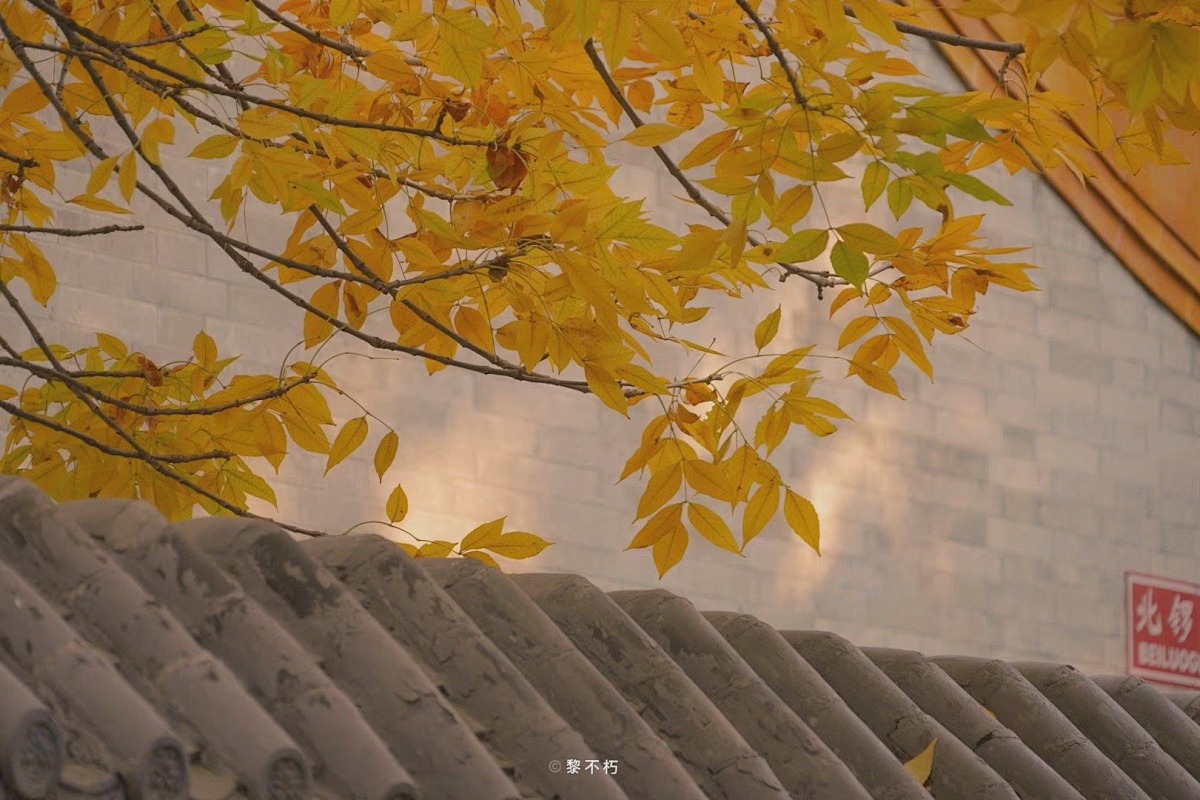 夜色有點甜的个人主页（背景预览） - 主页背景设置 - 站酷设计师夜色有點甜原创素材 - 站酷ZCOOL