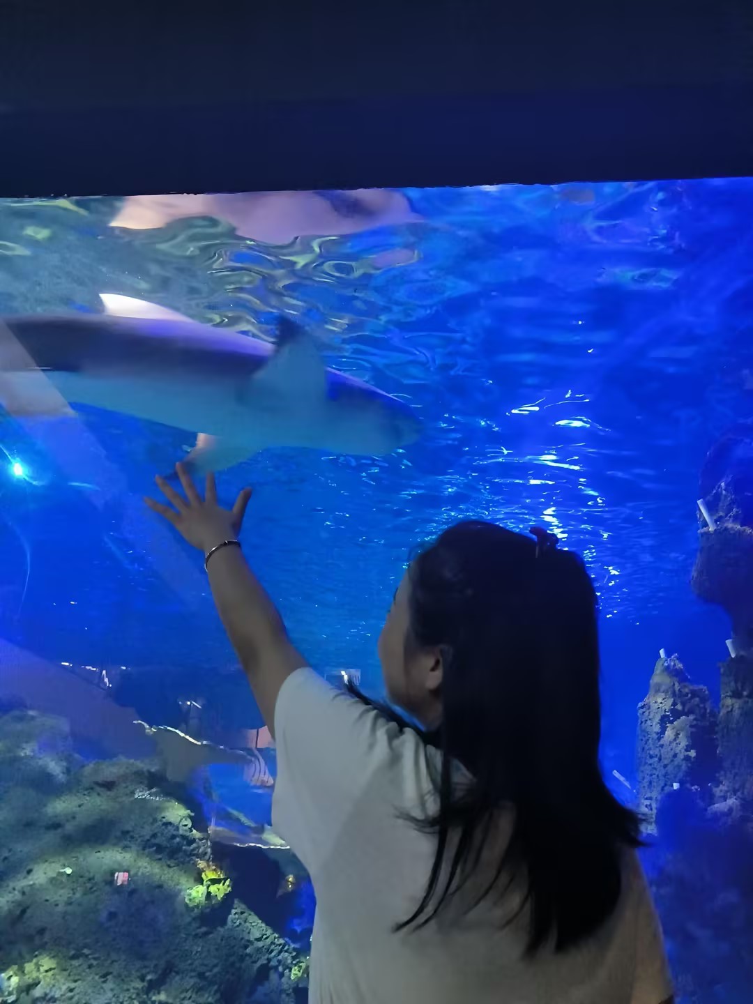 QinQ星垂野的个人主页（背景预览） - 主页背景设置 - 站酷设计师QinQ星垂野原创素材 - 站酷ZCOOL