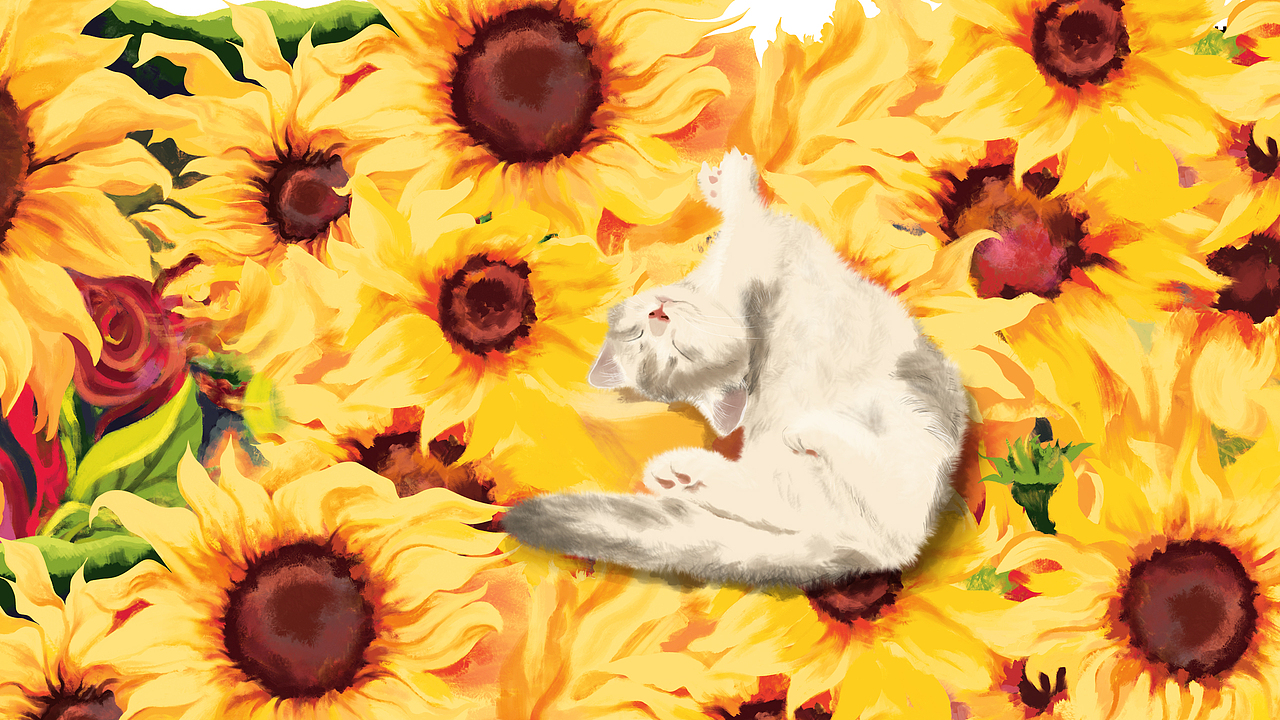 内心有暖，向阳而生