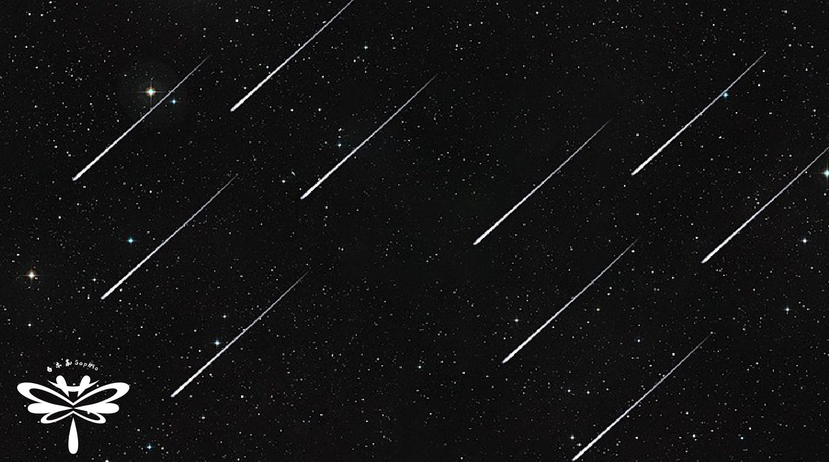 白亦菲Sophia的個人主頁（背景預(yù)覽） - 主頁背景設(shè)置 - 站酷設(shè)計師白亦菲Sophia原創(chuàng)素材 - 站酷ZCOOL