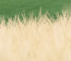 普利格的个人主页（背景预览） - 主页背景设置 - 站酷设计师普利格原创素材 - 站酷ZCOOL