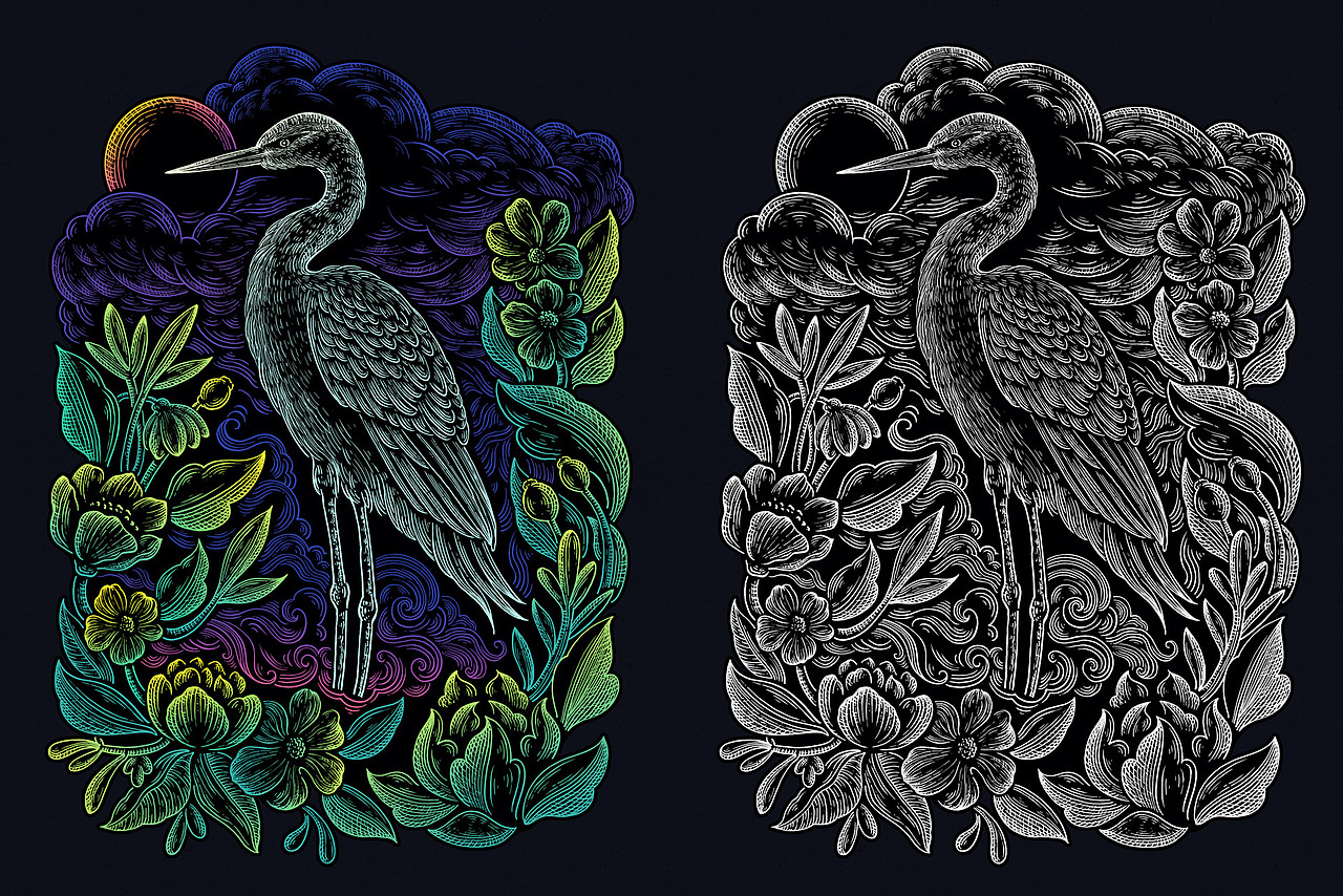 珍稀动物《鹤》线性插画