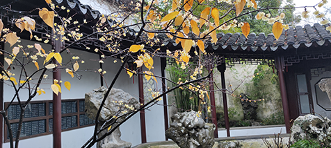 祥途舍的个人主页（背景预览） - 主页背景设置 - 站酷设计师祥途舍原创素材 - 站酷ZCOOL