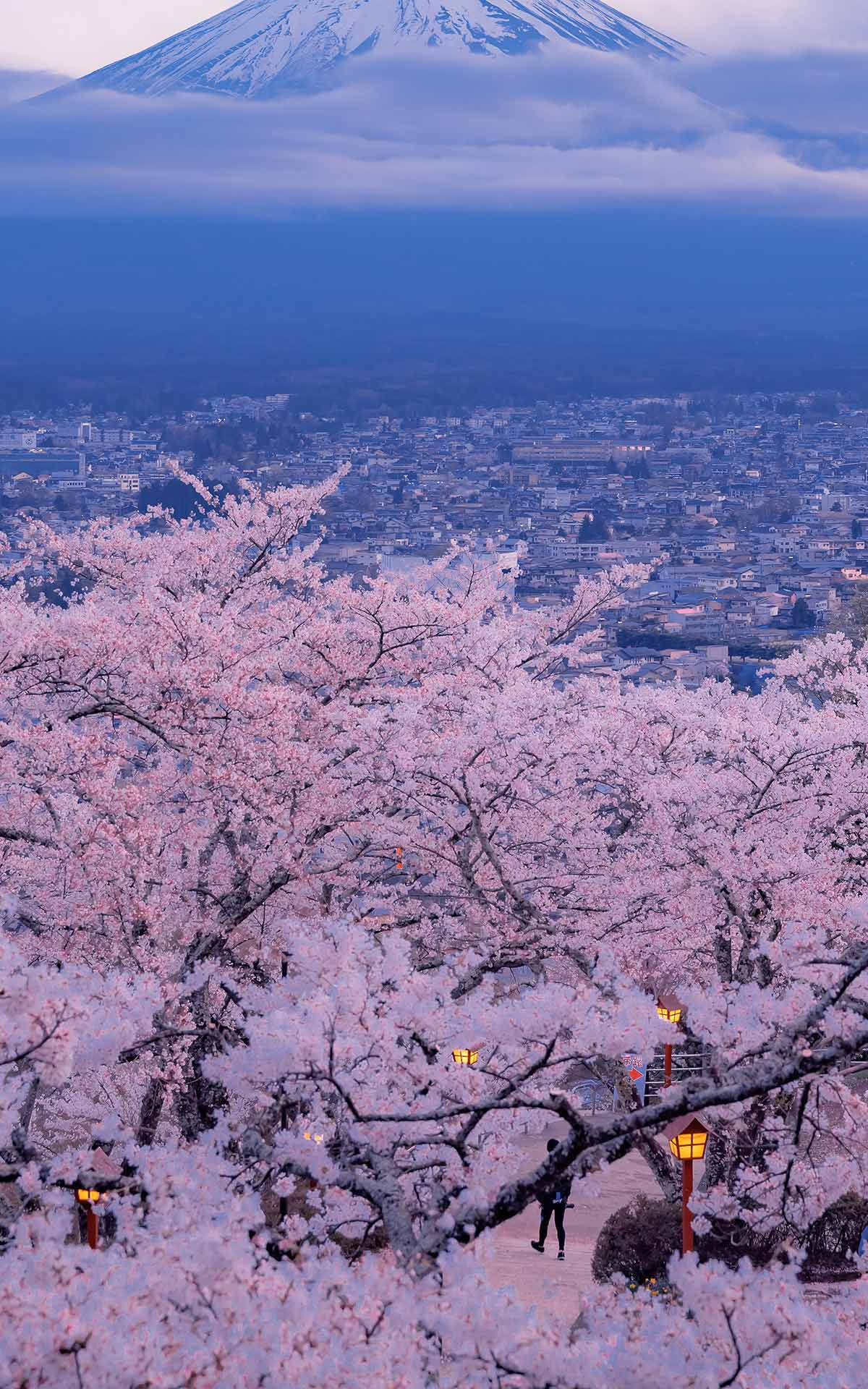 雪仒兒的個人主頁（背景預(yù)覽） - 主頁背景設(shè)置 - 站酷設(shè)計師雪仒兒原創(chuàng)素材 - 站酷ZCOOL
