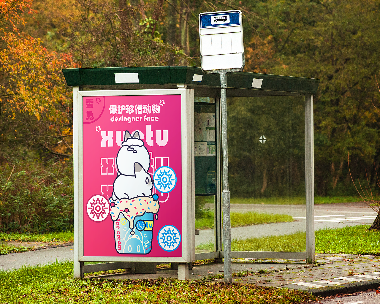 【珍惜动物在哪里？】—不止是可爱