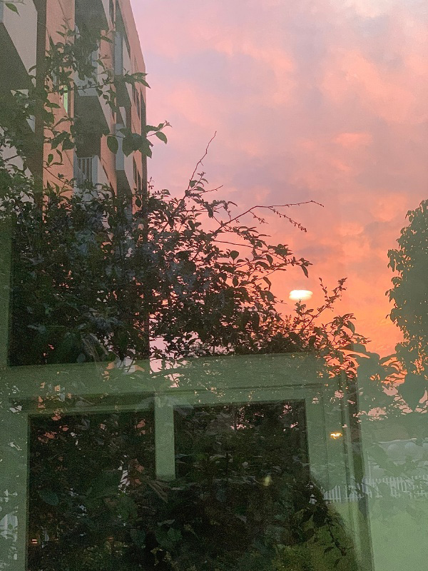苦艾酒a的个人主页（背景预览） - 主页背景设置 - 站酷设计师苦艾酒a原创素材 - 站酷ZCOOL