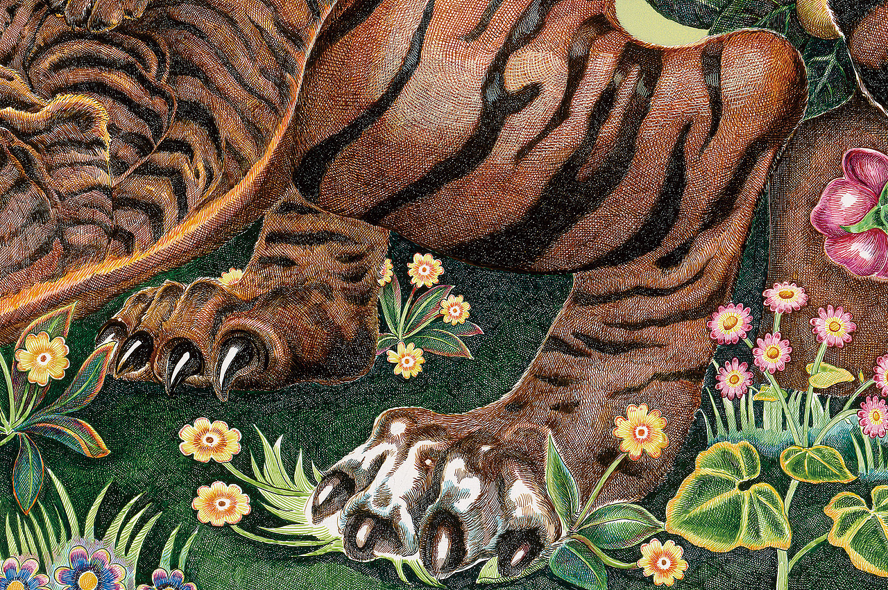 孕育——虎妈妈