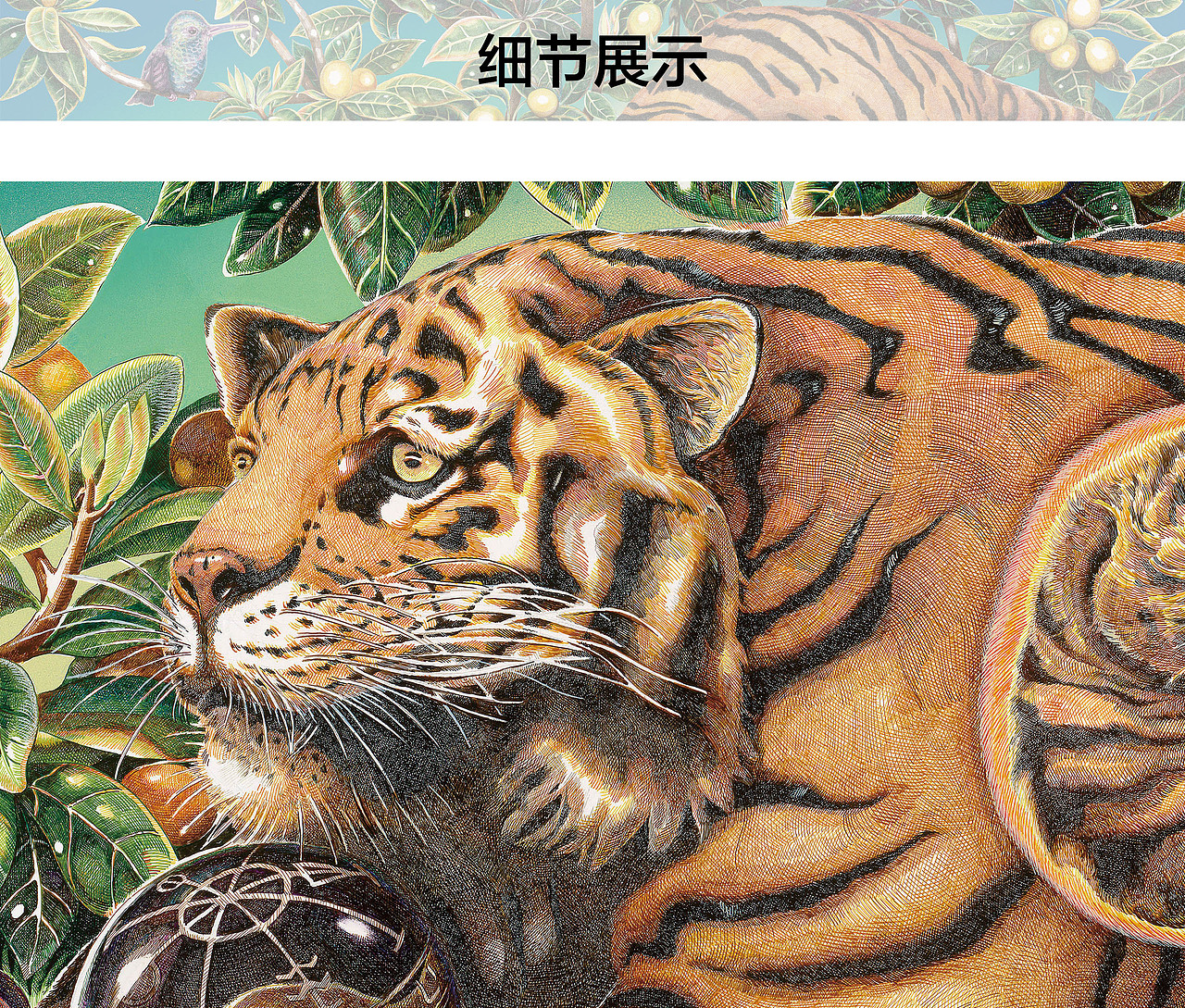 孕育——虎妈妈