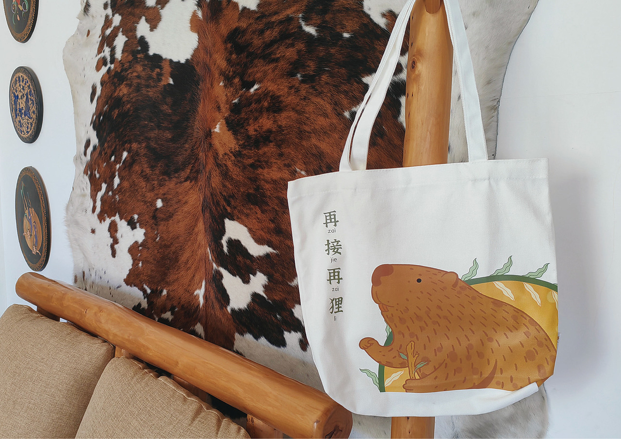 【珍稀动物100】蒙新河狸插画·文创延展