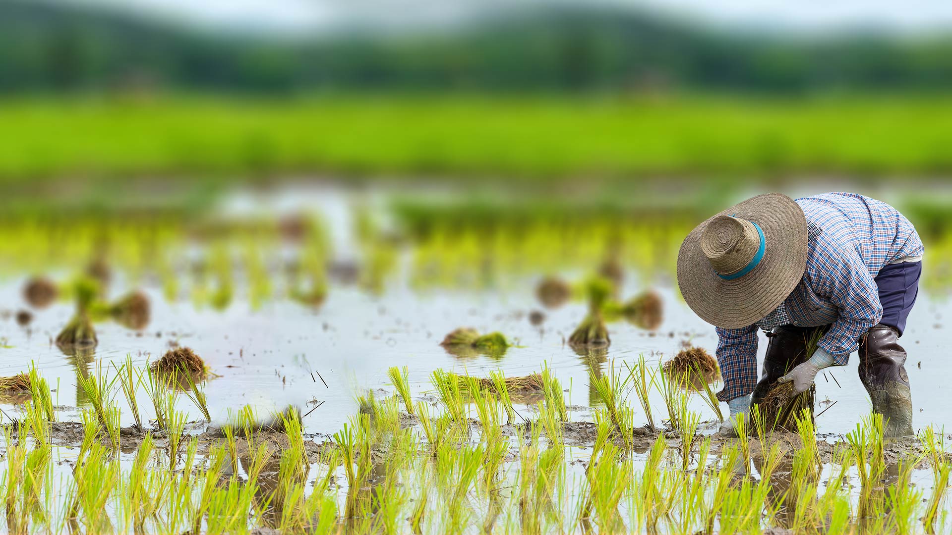 即器求道的个人主页（背景预览） - 主页背景设置 - 站酷设计师即器求道原创素材 - 站酷ZCOOL