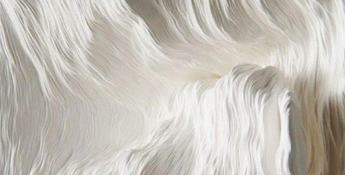 梧之桐兮的个人主页（背景预览） - 主页背景设置 - 站酷设计师梧之桐兮原创素材 - 站酷ZCOOL