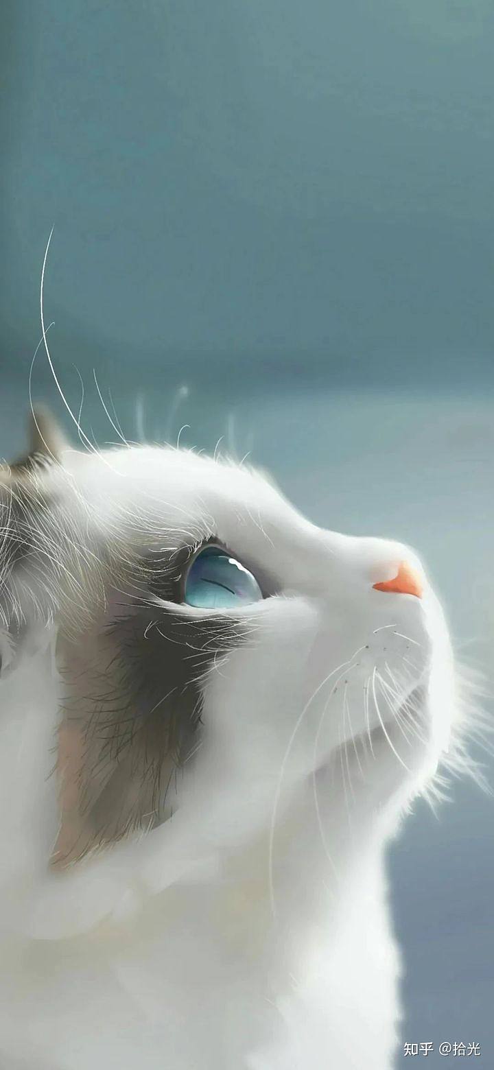 曾離譜的個人主頁（背景預覽） - 主頁背景設置 - 站酷設計師曾離譜原創(chuàng)素材 - 站酷ZCOOL