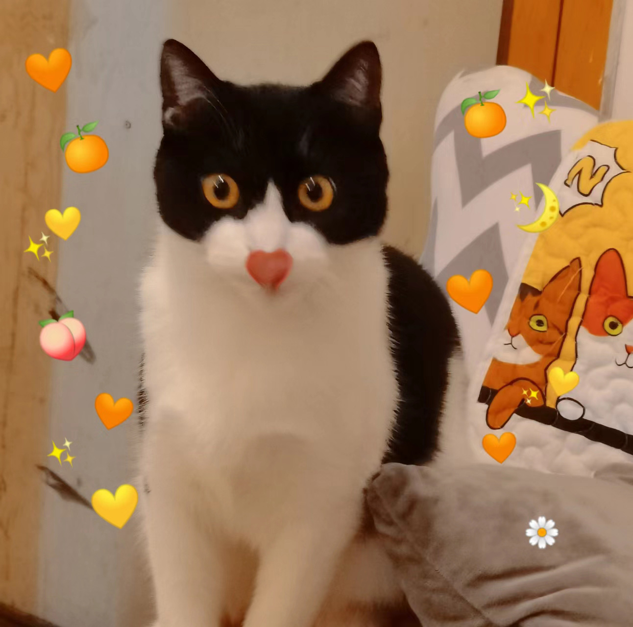 天才小短貓的個(gè)人主頁（背景預(yù)覽） - 主頁背景設(shè)置 - 站酷設(shè)計(jì)師天才小短貓?jiān)瓌?chuàng)素材 - 站酷ZCOOL