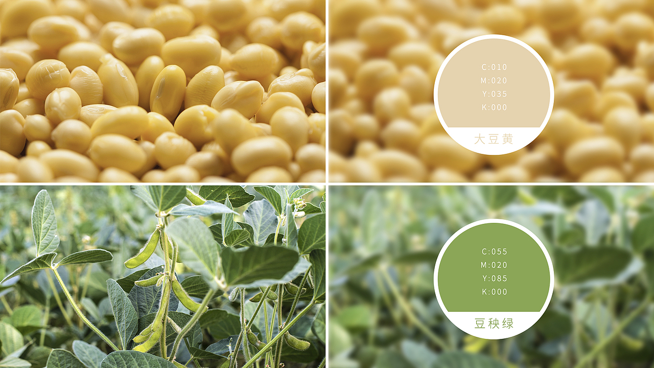 豆蔻遗梦-開鑫浓豆乳包装设计