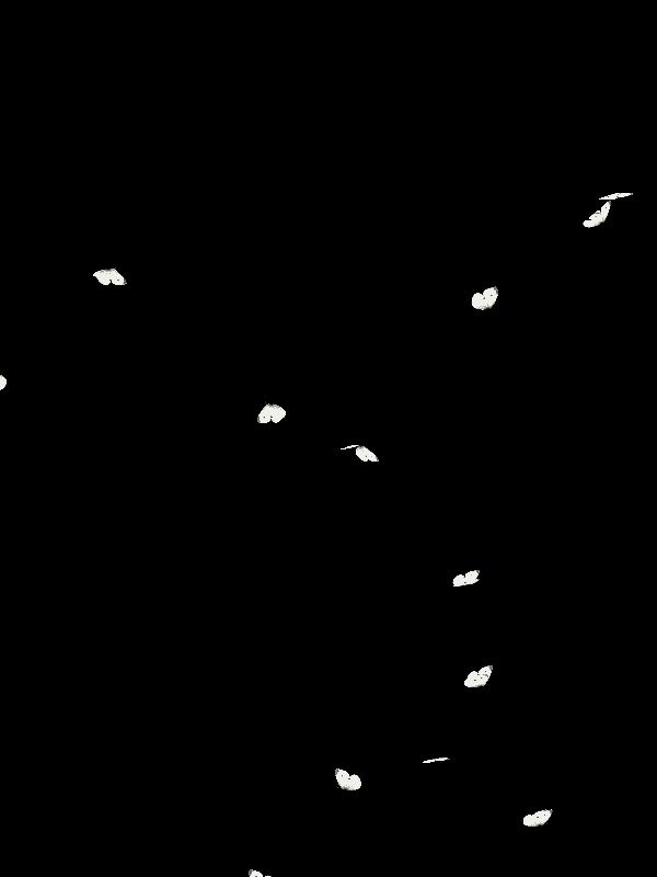 林Wsir的個人主頁（背景預(yù)覽） - 主頁背景設(shè)置 - 站酷設(shè)計師林Wsir原創(chuàng)素材 - 站酷ZCOOL