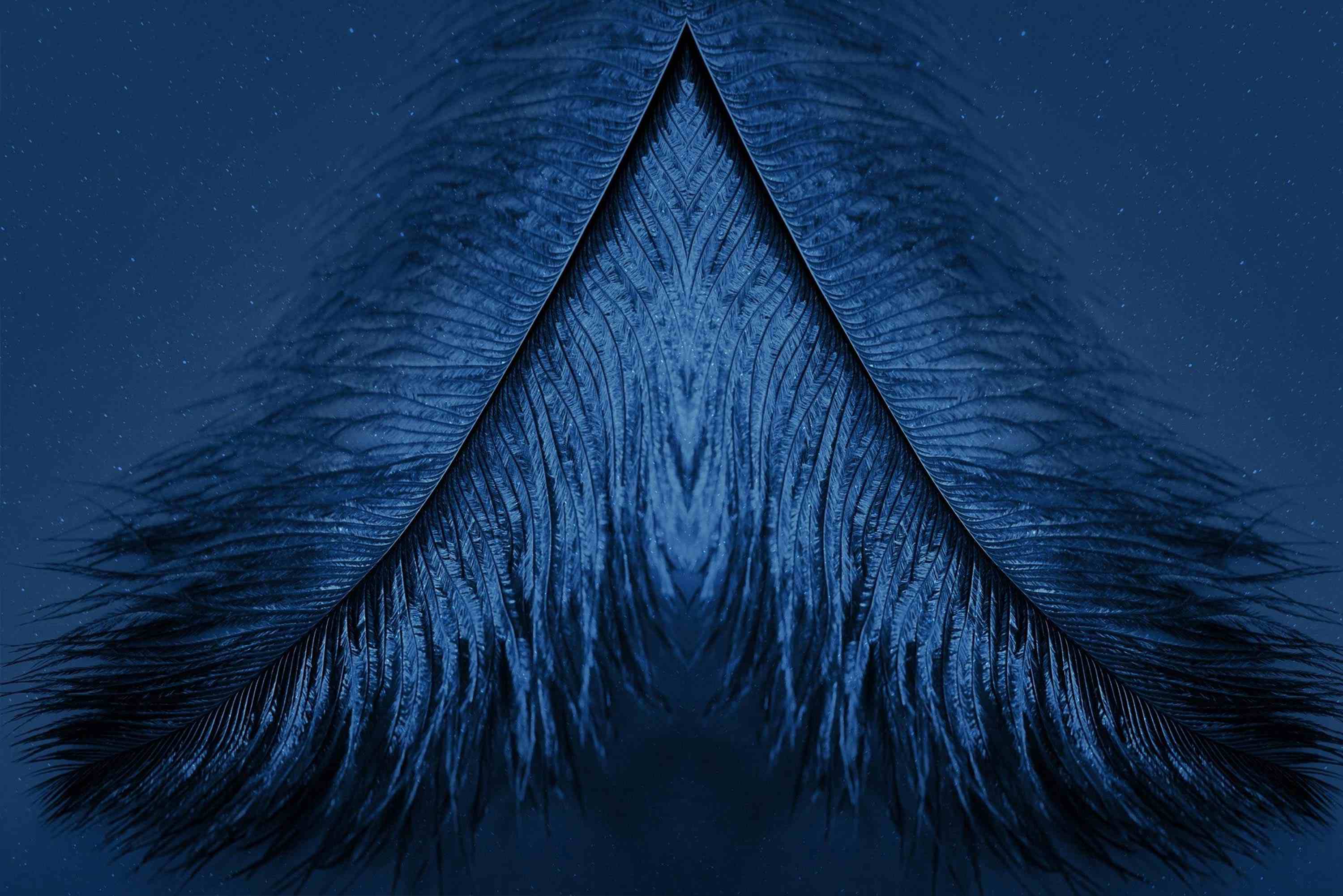 微笑的陽光的個人主頁（背景預(yù)覽） - 主頁背景設(shè)置 - 站酷設(shè)計師微笑的陽光原創(chuàng)素材 - 站酷ZCOOL