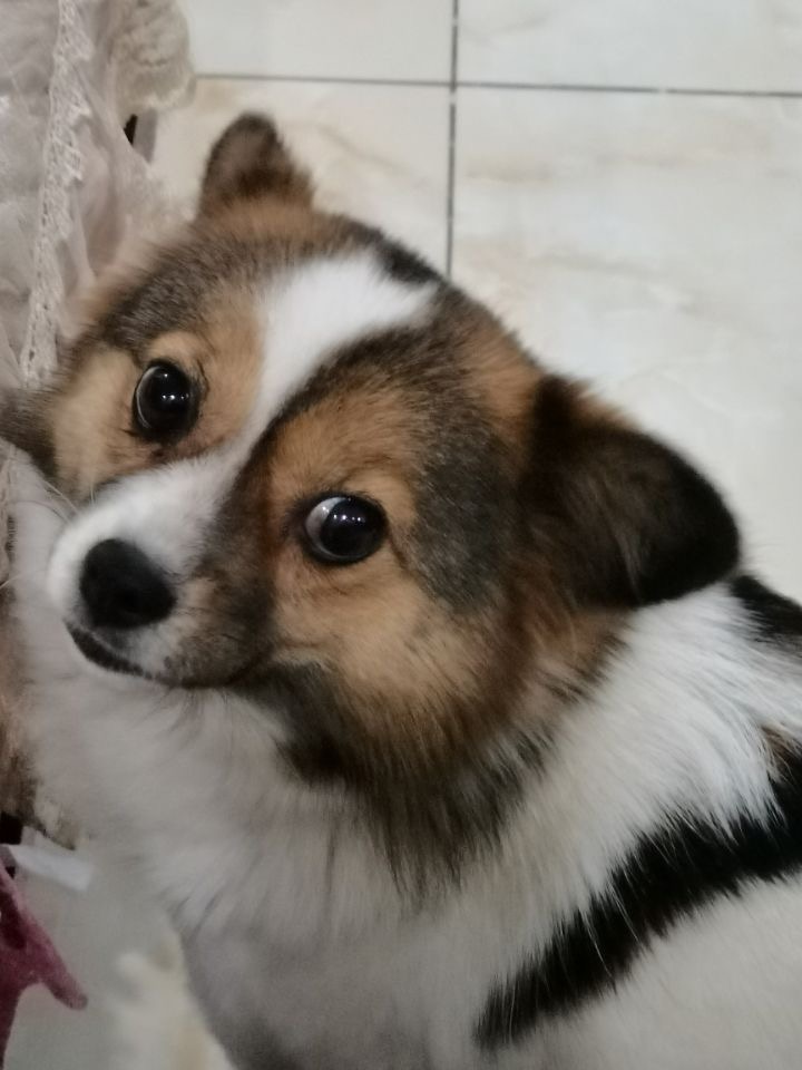 woobi嗚比的個人主頁（背景預(yù)覽） - 主頁背景設(shè)置 - 站酷設(shè)計師woobi嗚比原創(chuàng)素材 - 站酷ZCOOL