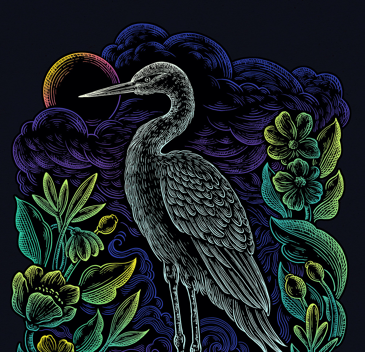 珍稀动物《鹤》线性插画