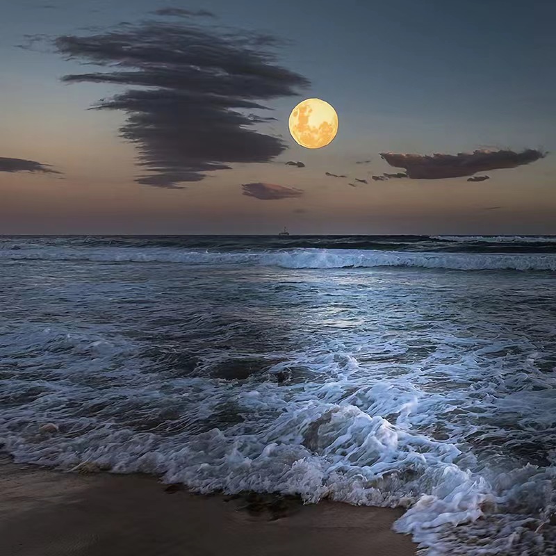 白日夢制造者的個人主頁（背景預覽） - 主頁背景設置 - 站酷設計師白日夢制造者原創(chuàng)素材 - 站酷ZCOOL