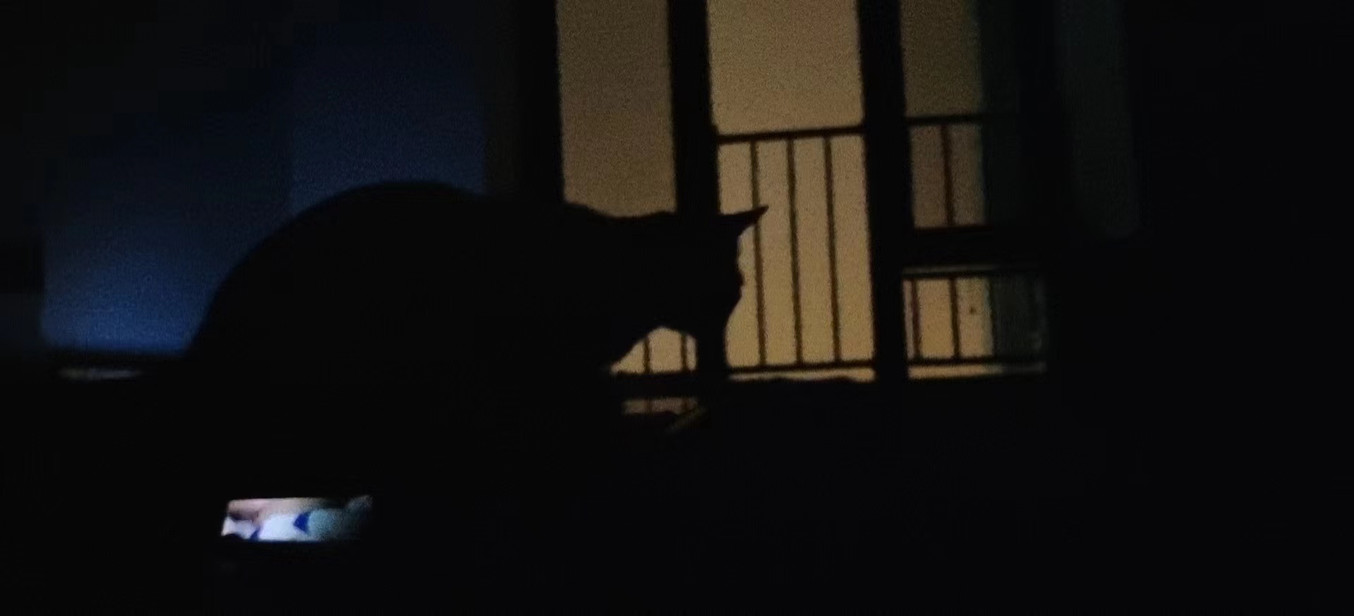 喝水啊什一的個(gè)人主頁(yè)（背景預(yù)覽） - 主頁(yè)背景設(shè)置 - 站酷設(shè)計(jì)師喝水啊什一原創(chuàng)素材 - 站酷ZCOOL