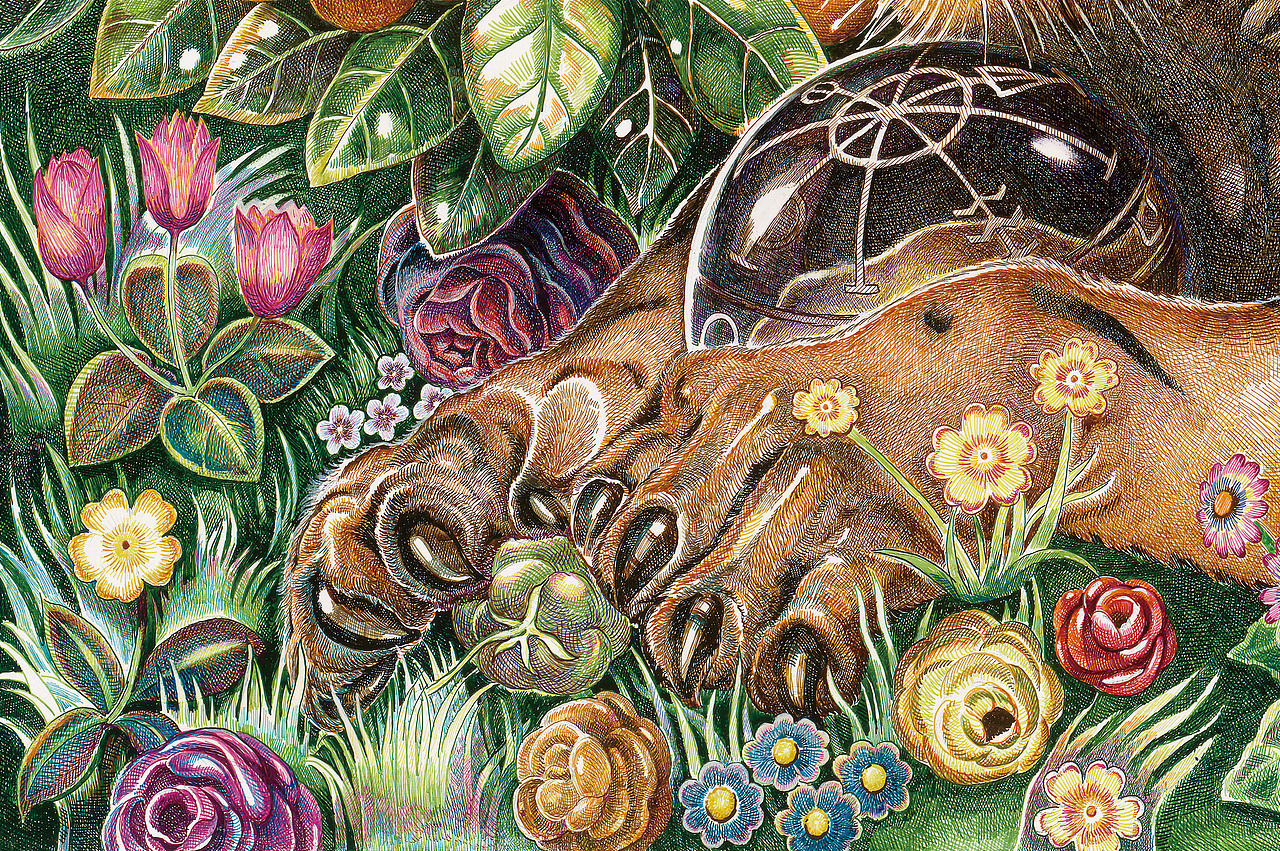 孕育——虎妈妈