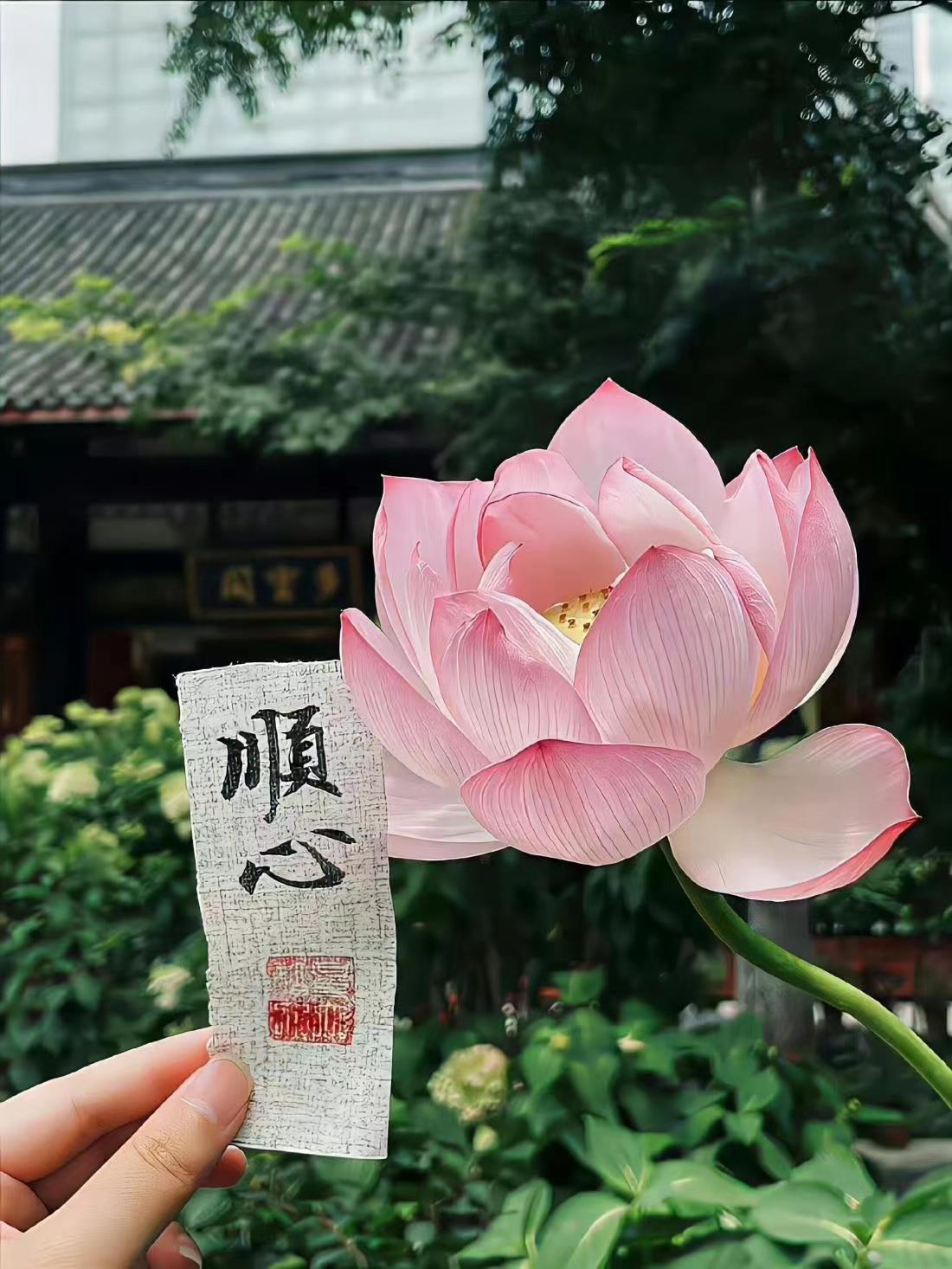 则灵设计的个人主页（背景预览） - 主页背景设置 - 站酷设计师则灵设计原创素材 - 站酷ZCOOL