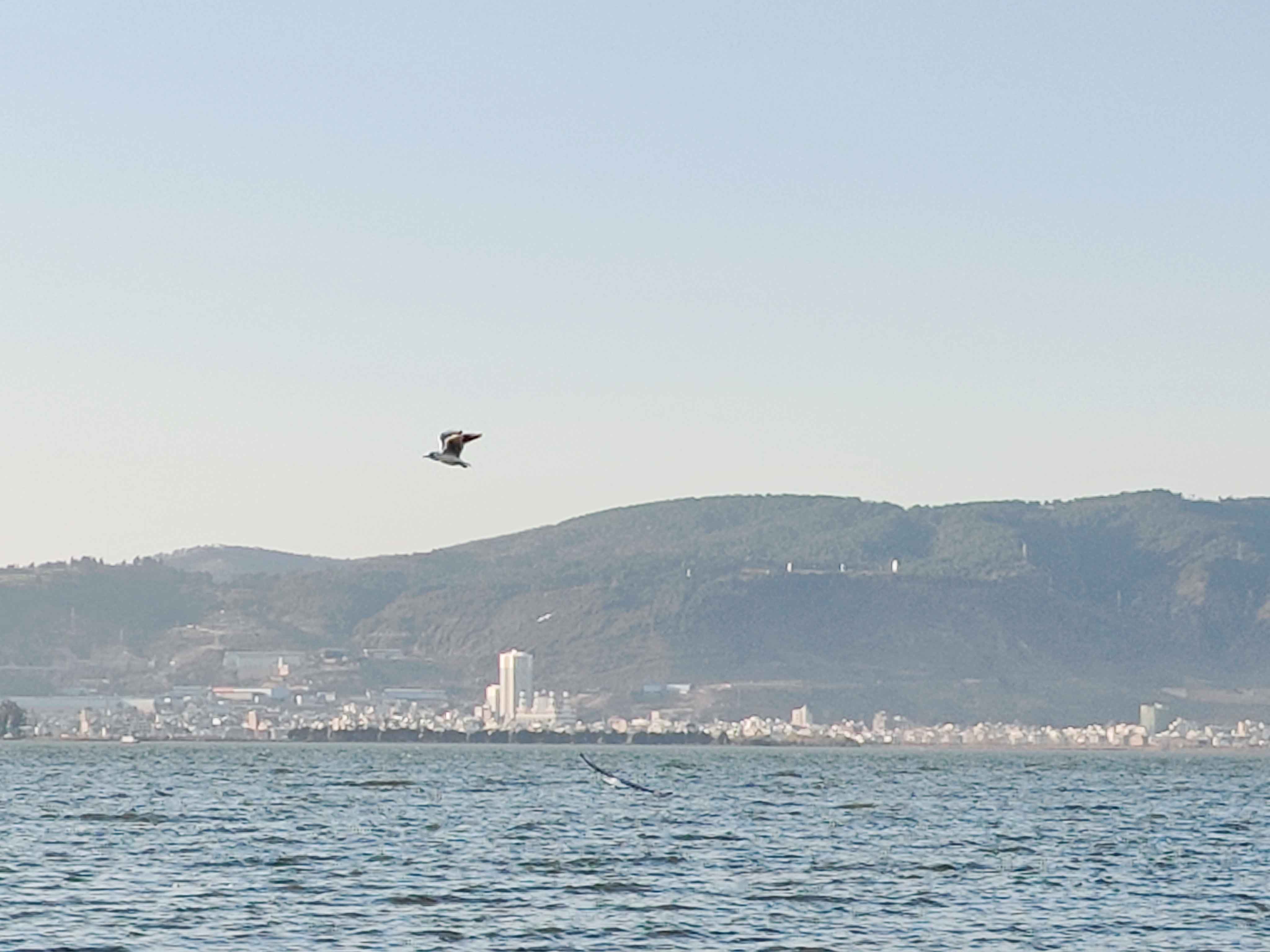 黎静JaneDong的个人主页（背景预览） - 主页背景设置 - 站酷设计师黎静JaneDong原创素材 - 站酷ZCOOL
