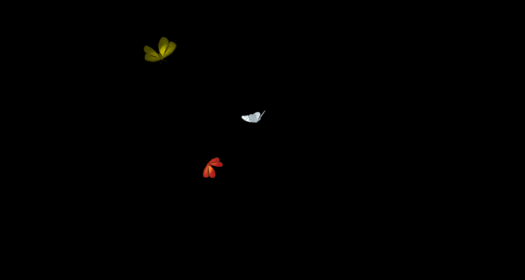 Lindsav的个人主页（背景预览） - 主页背景设置 - 站酷设计师Lindsav原创素材 - 站酷ZCOOL