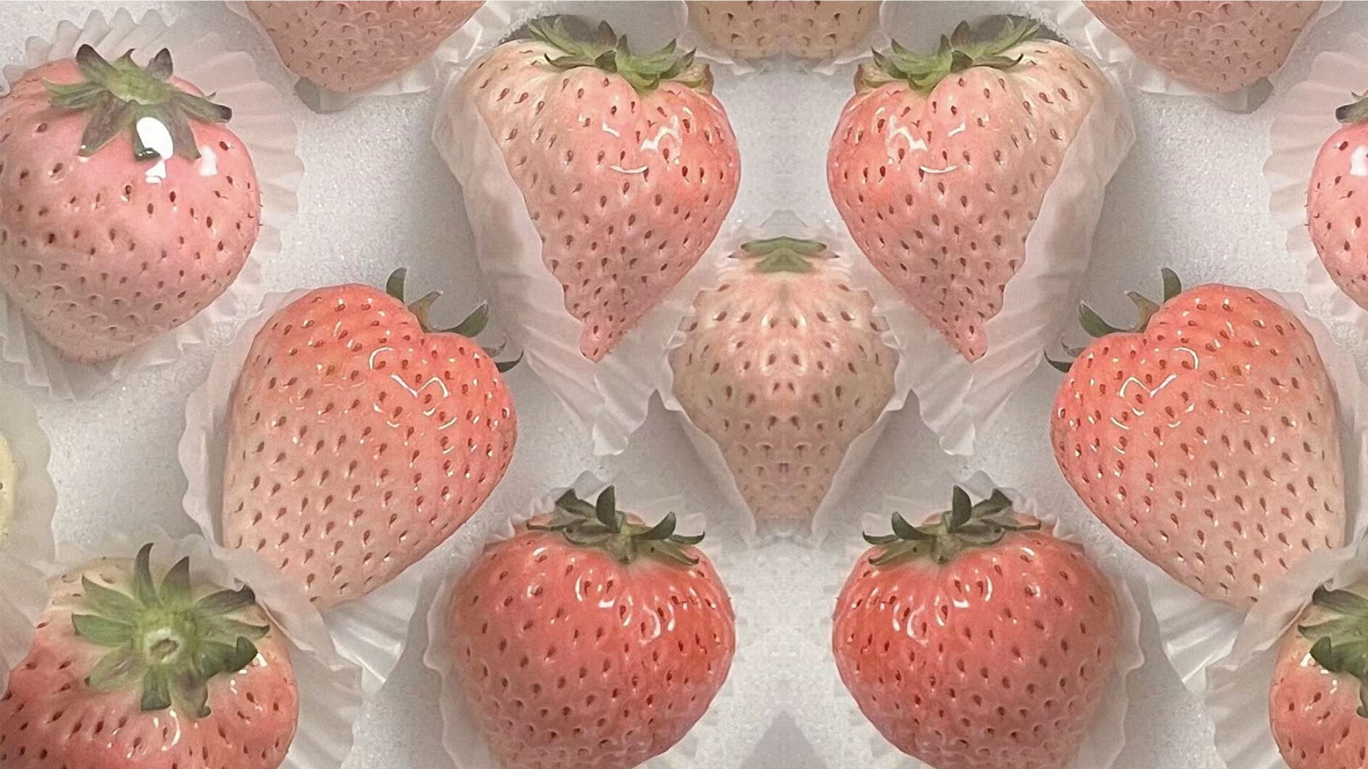 临冬温的个人主页（背景预览） - 主页背景设置 - 站酷设计师临冬温原创素材 - 站酷ZCOOL