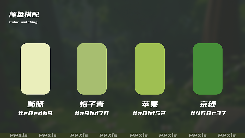 《绿色出行》公益主题活动