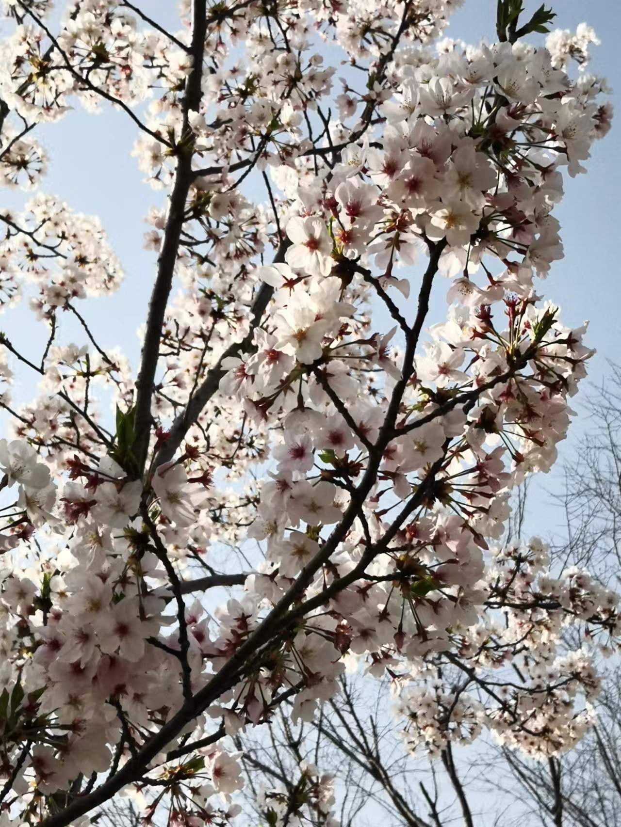 訥言訥言的個(gè)人主頁(yè)（背景預(yù)覽） - 主頁(yè)背景設(shè)置 - 站酷設(shè)計(jì)師訥言訥言原創(chuàng)素材 - 站酷ZCOOL