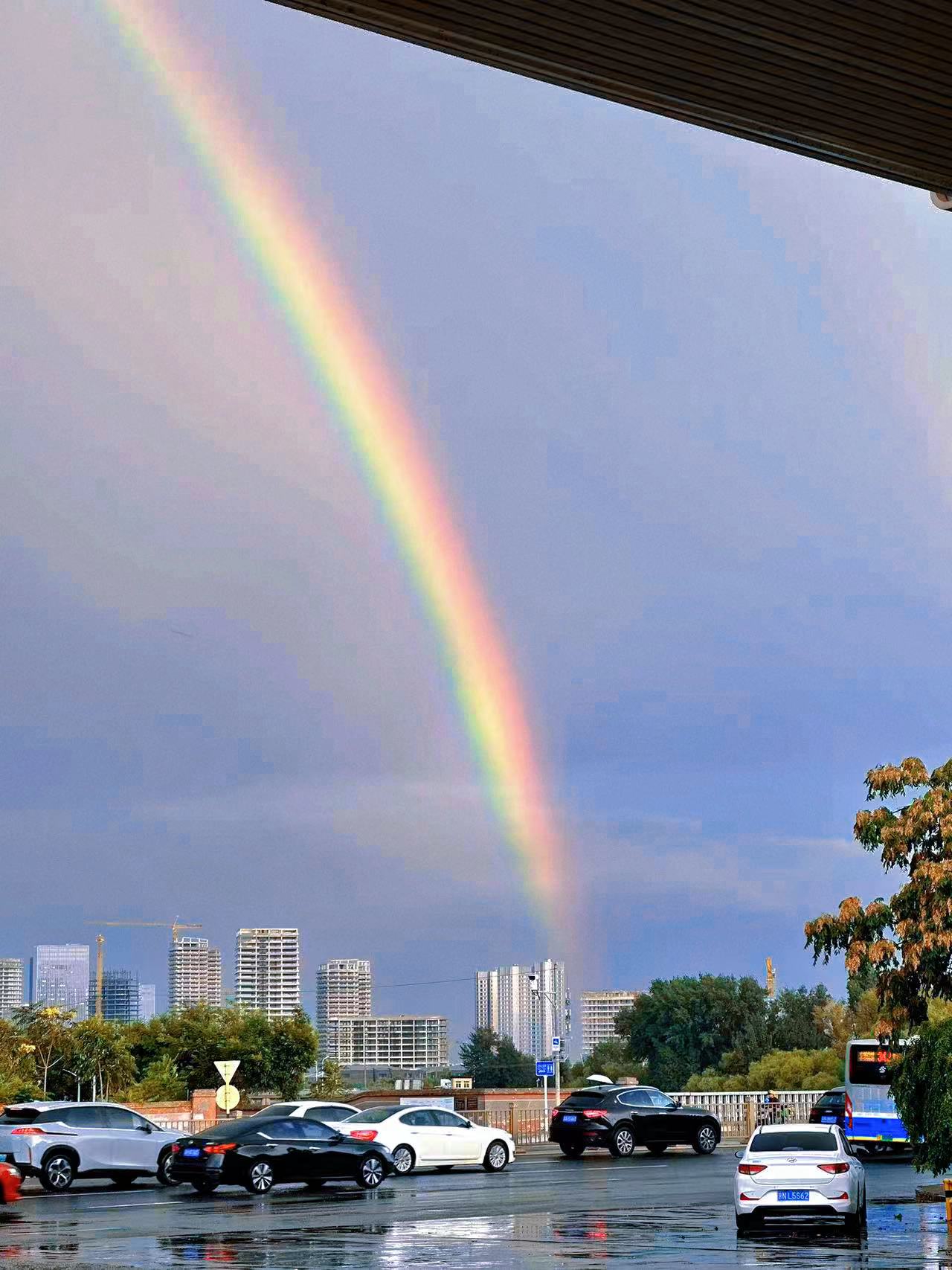 Xuanxxya的個(gè)人主頁（背景預(yù)覽） - 主頁背景設(shè)置 - 站酷設(shè)計(jì)師Xuanxxya原創(chuàng)素材 - 站酷ZCOOL