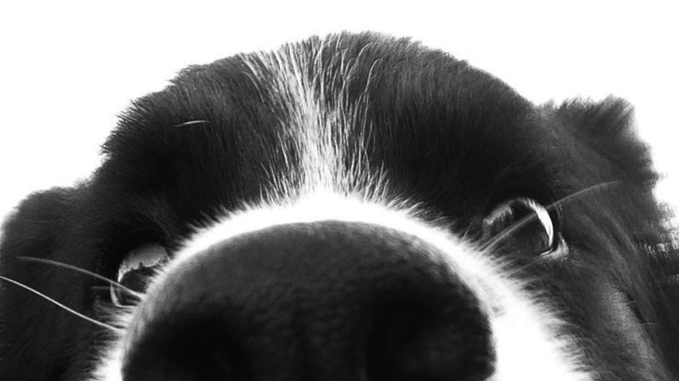 我真的很多话要说的个人主页（背景预览） - 主页背景设置 - 站酷设计师我真的很多话要说原创素材 - 站酷ZCOOL