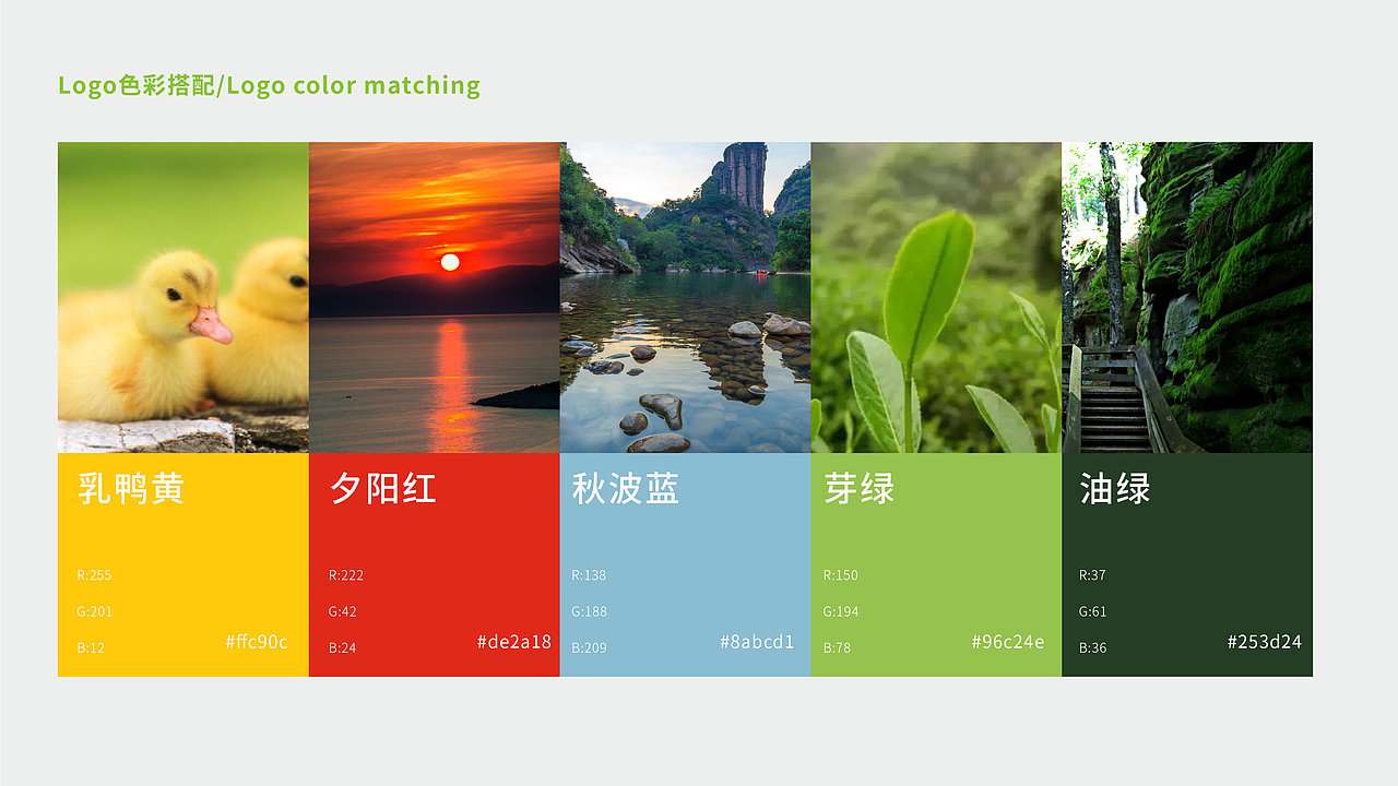 武夷山国际公园1号风景道 Logo设计