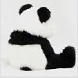 panda_yin的头像