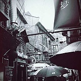 小鱼儿ZJH的头像