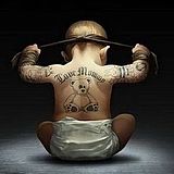 无叶菩提的头像