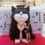 momo么么的头像