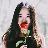 lemonchi的头像