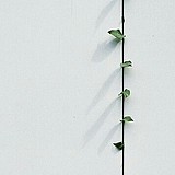 米妮123的头像