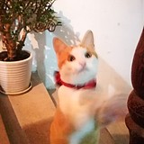 Jeff__的头像