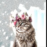 轻衣HOPE的头像