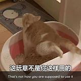 刮痧老师傅的头像
