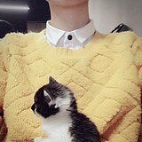 油田阿赖的头像