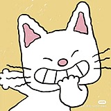 阿会会不会啊的头像