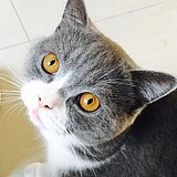 oooone的头像