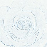 Blue_TimeBoy的头像