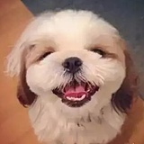 雨后的蓝天的头像