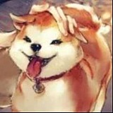 清止zhhhi的头像